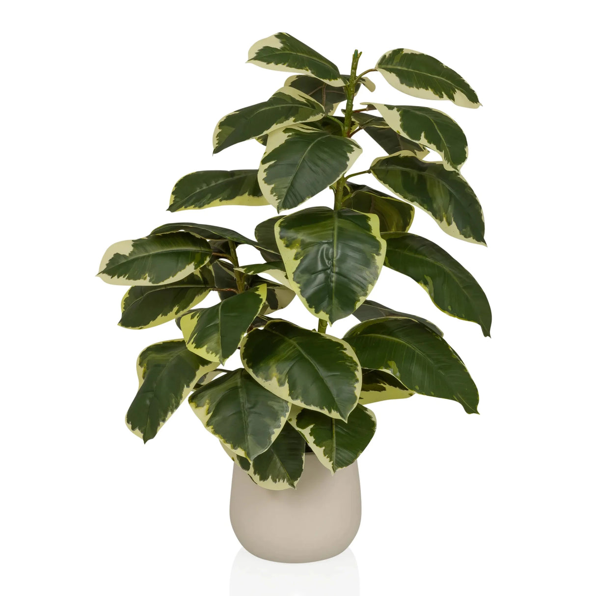 Artificial plant Ficus 3 in green and white with a beige outer pot by hjh OFFICE