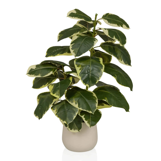 Artificial plant Ficus 3 in green and white with a beige outer pot by hjh OFFICE