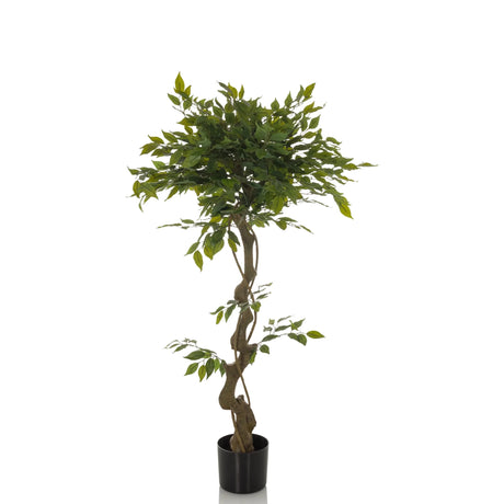 Green Artificial plant FICUS I with twisted stem in a black pot by hjh OFFICE