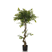 Green Artificial plant FICUS I with twisted stem in a black pot by hjh OFFICE
