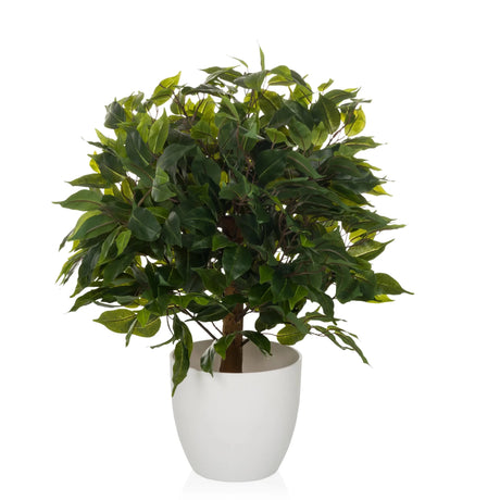 Artificial plant FICUS II in green with dense foliage in a white pot by hjh OFFICE
