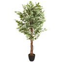 Artificial plant FICUS with green and white variegated leaves in a black pot by hjh OFFICE