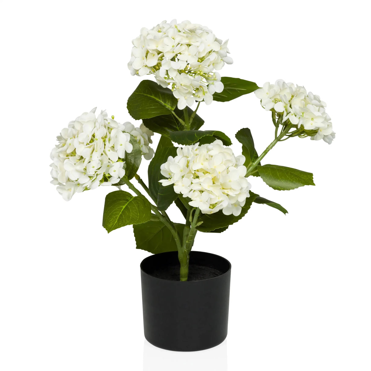Artificial plant HYDRANGEA with white blossoms, green leaves and black pot by hjh OFFICE