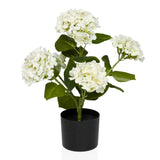 Artificial plant HYDRANGEA with white blossoms, green leaves and black pot by hjh OFFICE