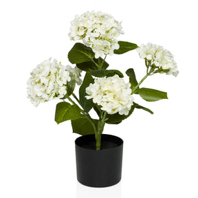 Artificial plant HYDRANGEA with white blossoms, green leaves and black pot by hjh OFFICE