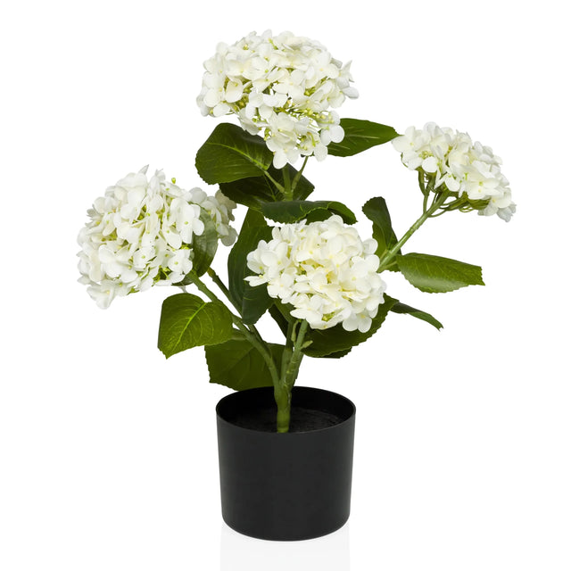 Artificial plant HYDRANGEA with white blossoms, green leaves and black pot by hjh OFFICE