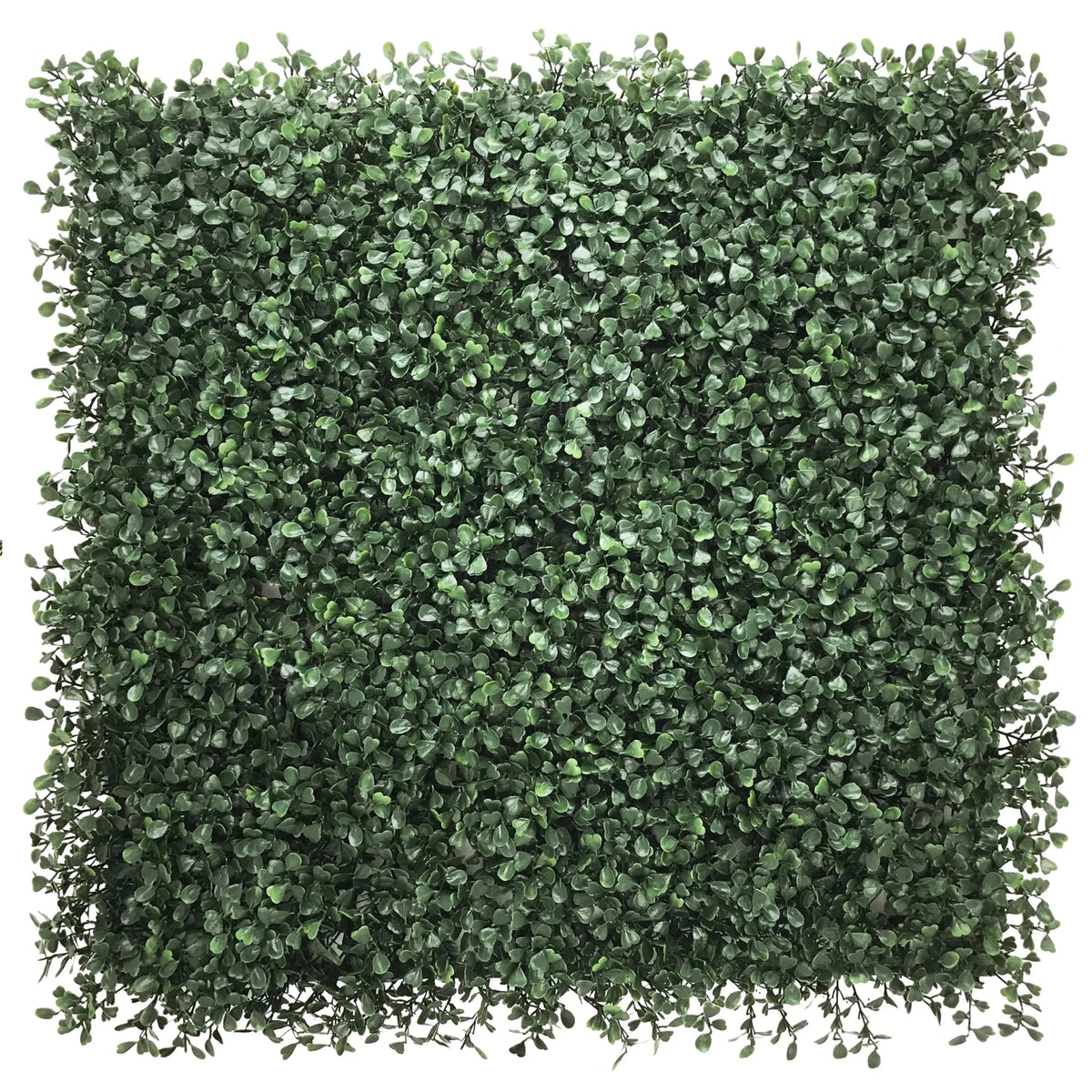 Green Plant mat LEAFLUXE 1 with dense, small leaves in a square shape by hjh LIVING