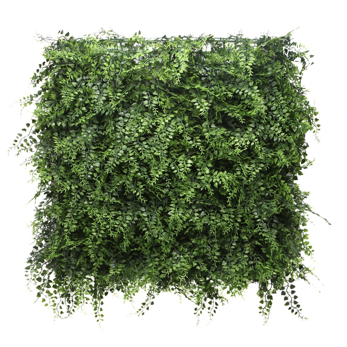 LEAFLUXE 2 - Plant mat 