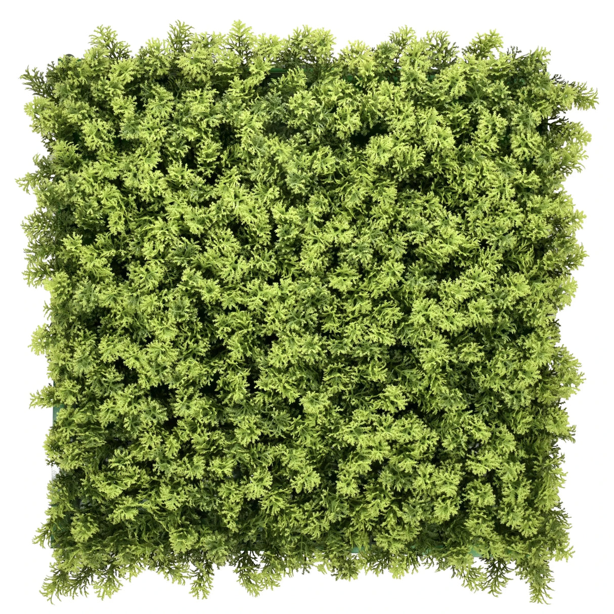 LEAFLUXE 3 - Plant mat 