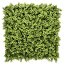 Green plant mat LEAFLUXE 3 with dense, fine foliage by hjh LIVING