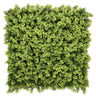 Green plant mat LEAFLUXE 3 with dense, fine foliage by hjh LIVING