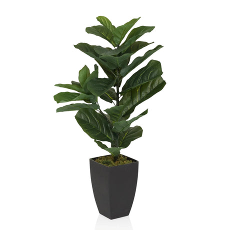 Green Artificial plant LYRATA in a black square pot by hjh OFFICE