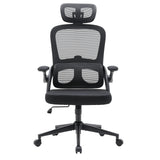MC102C-M101 | Sihoo - Professional Office Chair 