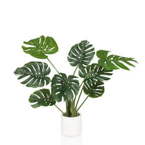 Green Artificial plant MONSTERA I with large leaves in a simple white pot by hjh OFFICE