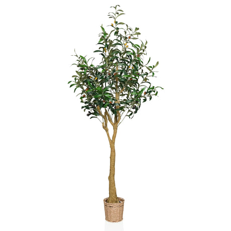 Artificial plant OLIVE II in green with woven basket pot and natural trunk by hjh OFFICE
