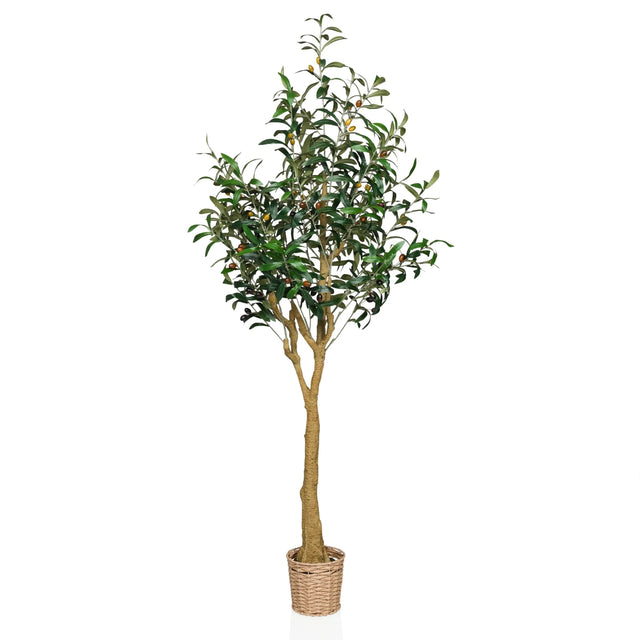 Artificial plant OLIVE II in green with woven basket pot and natural trunk by hjh OFFICE