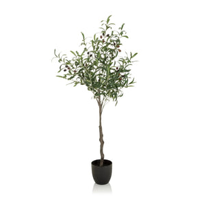 Green Artificial plant OLIVE in the form of an olive tree with a black pot by hjh OFFICE