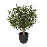Artificial plant Olive S with green leaves in a simple black pot by hjh OFFICE