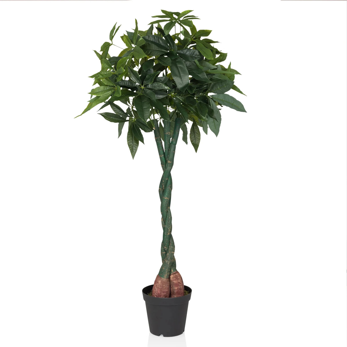Green Artificial plant PACHIRA with braided stem in a black pot by hjh OFFICE