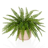 Green Artificial plant Proliferum with fern-like leaves in a light beige pot by hjh OFFICE