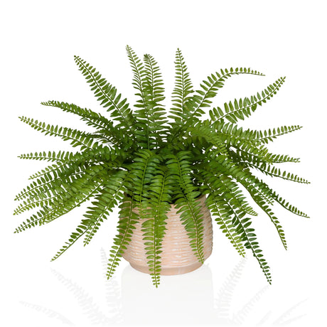 Green Artificial plant Proliferum with fern-like leaves in a light beige pot by hjh OFFICE