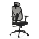 Black Professional Office Chair RALOO ECO with mesh backrest, headrest and armrests by hjh OFFICE