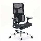 S100-M301 | Sihoo - Professional Office Chair 