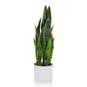Artificial plant SANSEVIERIA in green with long leaves in a white outer pot by hjh OFFICE