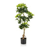 Green Artificial plant SCHEFFLERA with glossy leaves in a black pot by hjh OFFICE