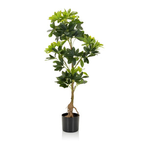 Green Artificial plant SCHEFFLERA with glossy leaves in a black pot by hjh OFFICE