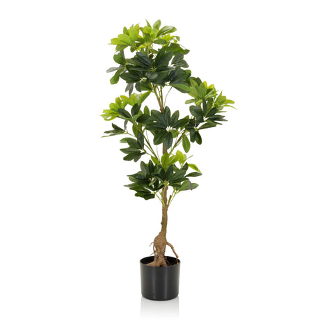 Green Artificial plant SCHEFFLERA with glossy leaves in a black pot by hjh OFFICE