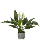Spathiphyllum 1 - Artificial plant 