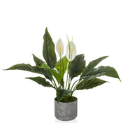 Artificial plant Spathiphyllum 1 with green leaves, two white flowers and a grey pot by hjh OFFICE