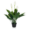 Artificial plant SPATHIPHYLLUM in green and white with three blossoms in a black pot by hjh OFFICE