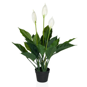 Artificial plant SPATHIPHYLLUM in green and white with three blossoms in a black pot by hjh OFFICE