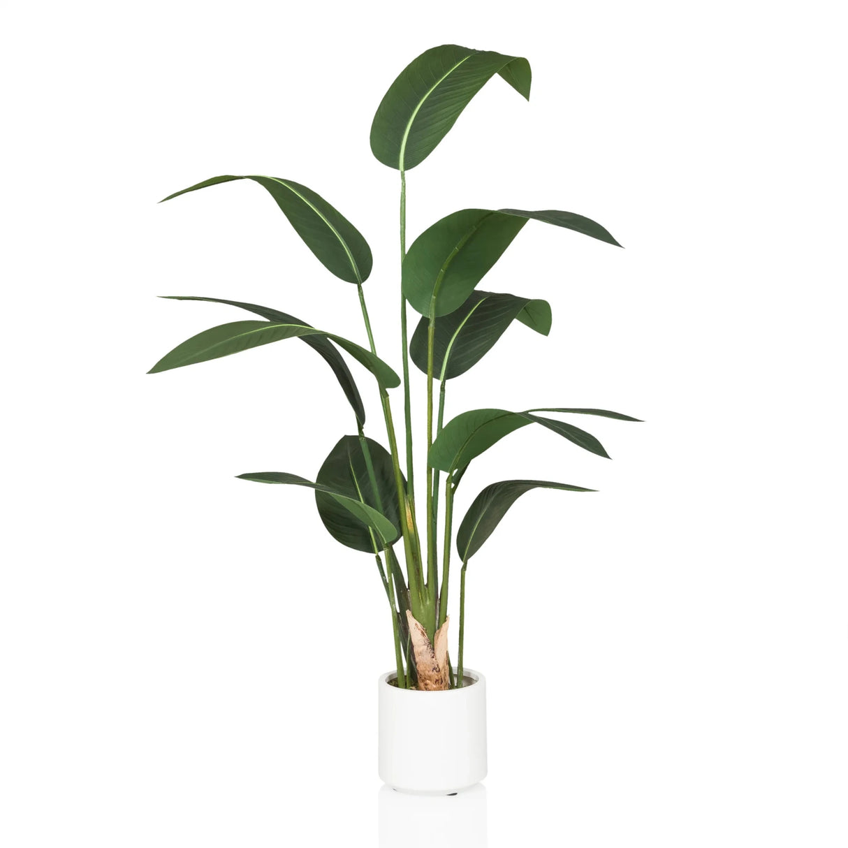 STRELITZIA - Artificial plant 