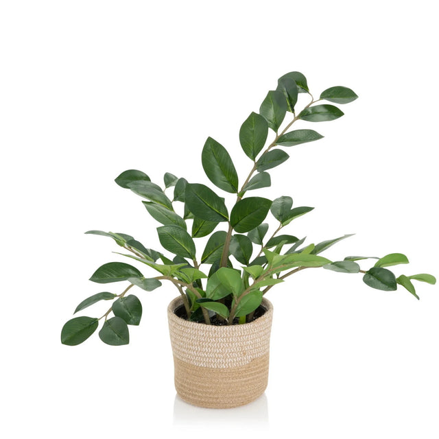 Artificial plant ZAMIE in green with a braided outer pot made of natural material by hjh OFFICE